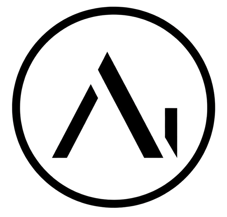 ANON INC